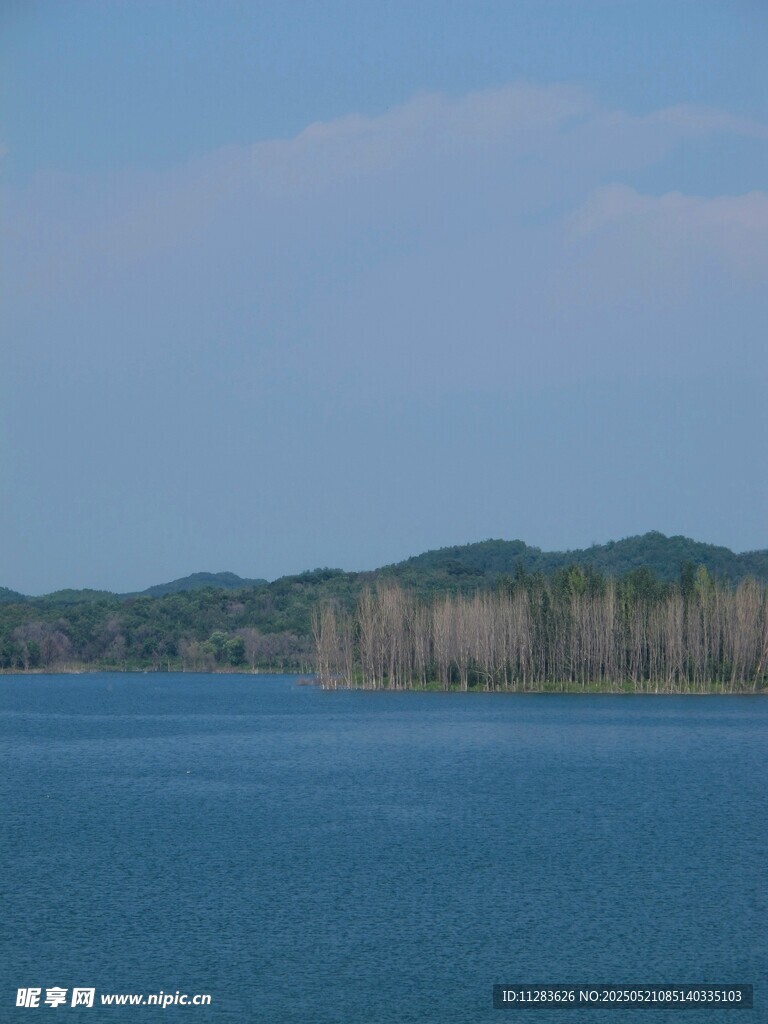 宁静湖水与远处葱郁树林