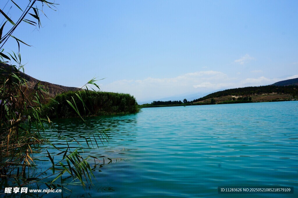 湖畔美景 碧水蓝天芦苇
