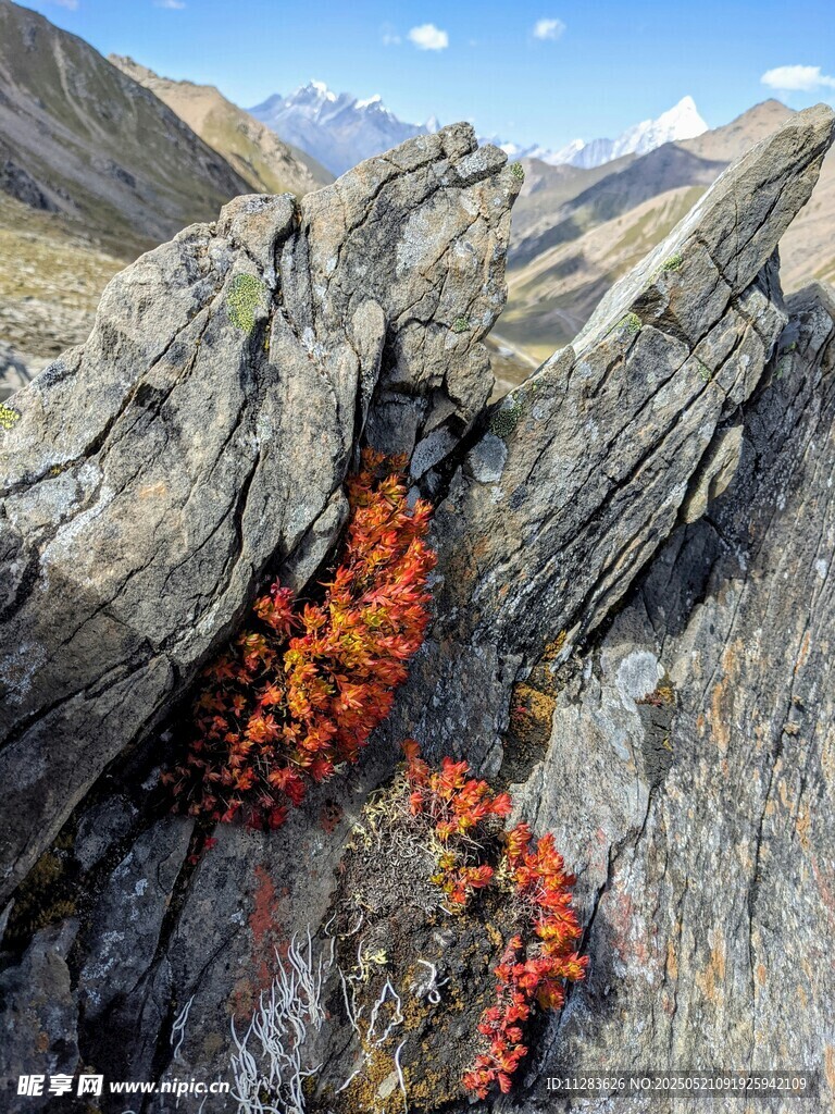 火山熔岩