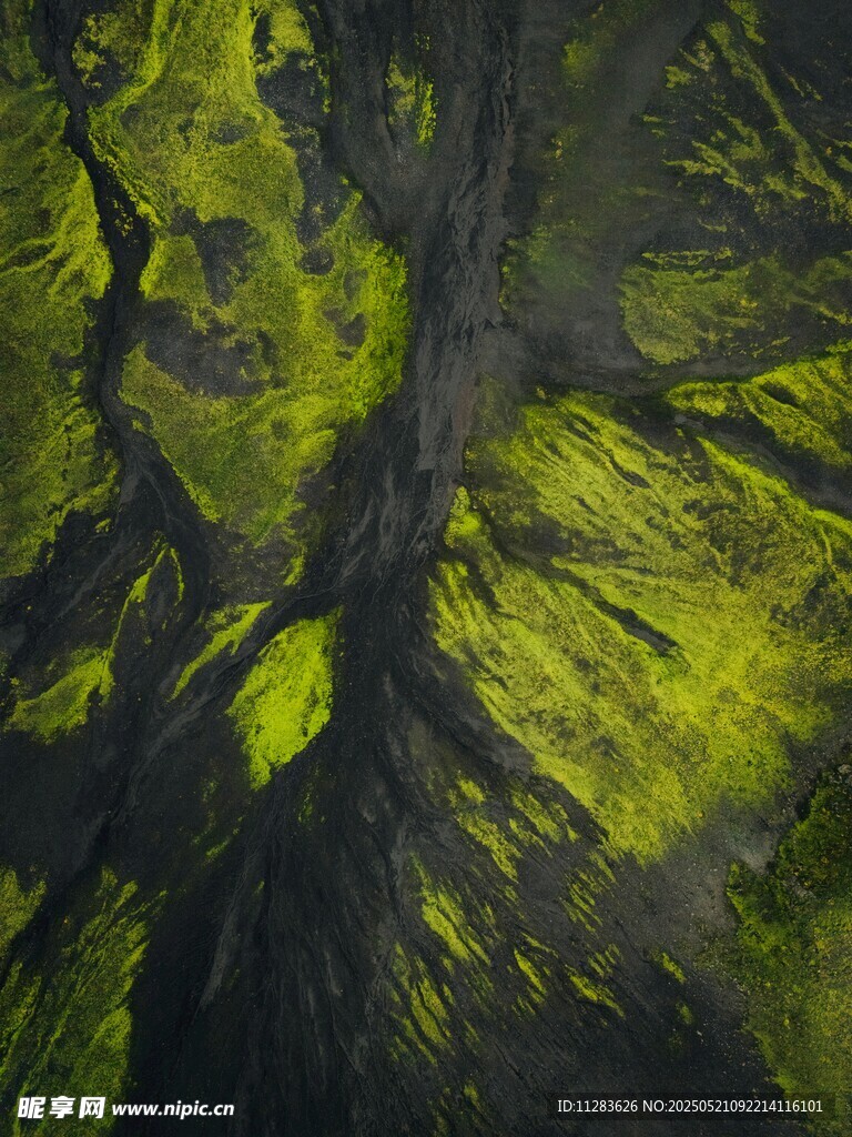 俯瞰翠绿山林景观