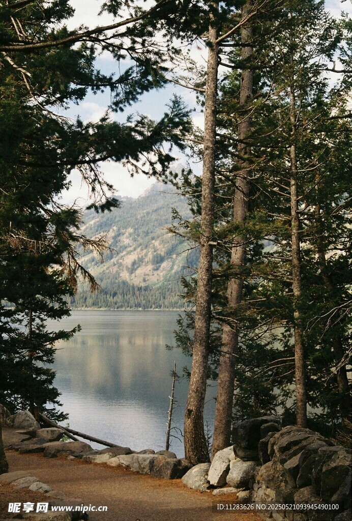 湖畔山林美景