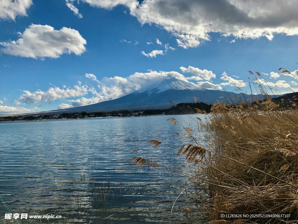 湖畔富士山美景