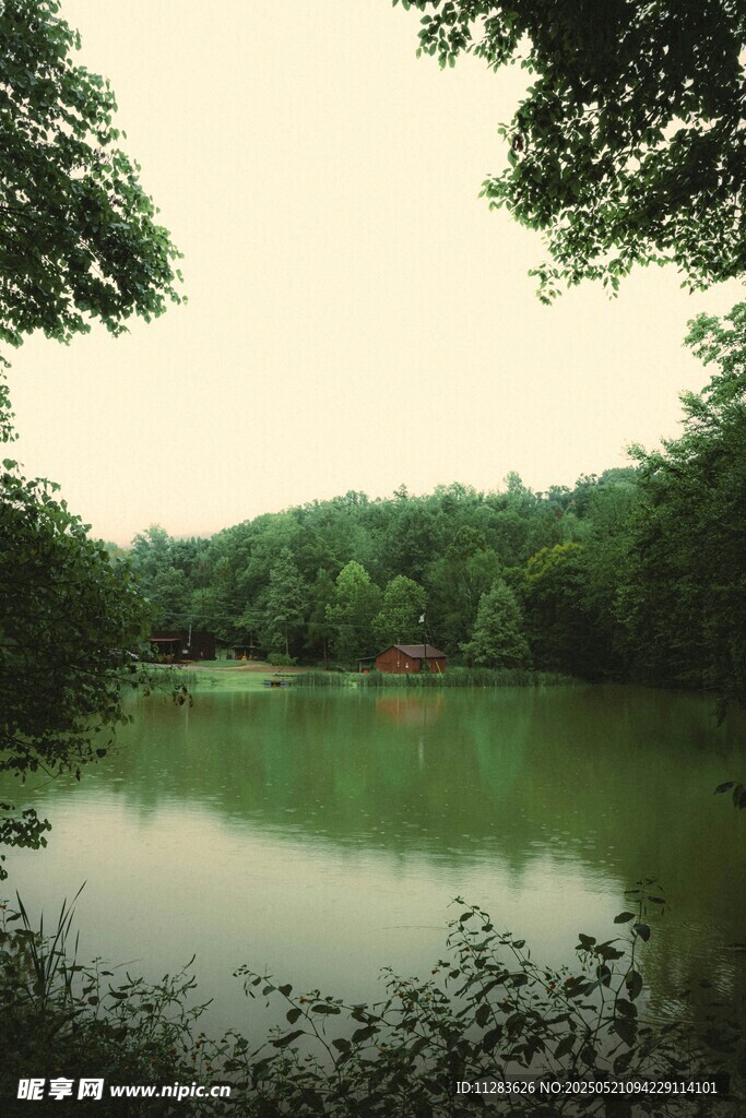 宁静湖畔绿意盎然的景致