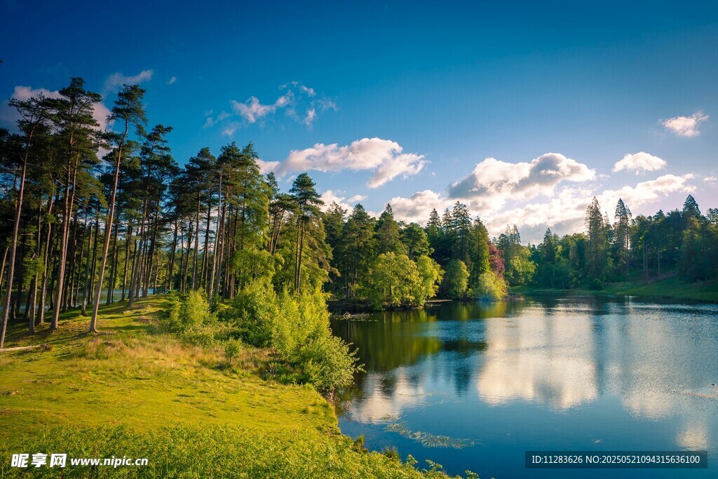 湖畔森林美景