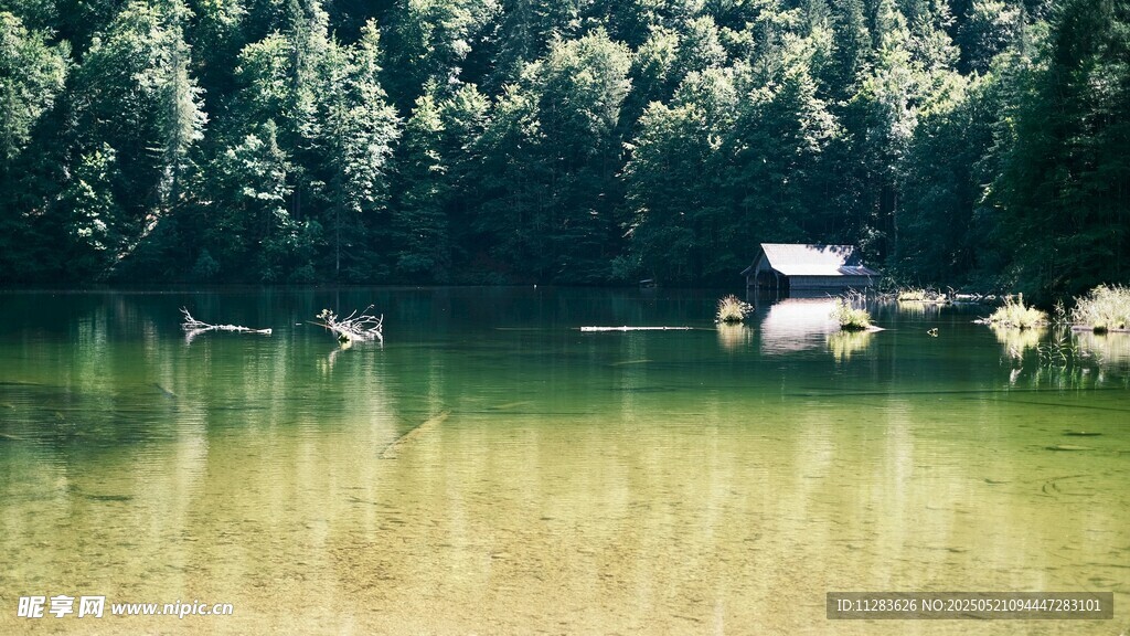 宁静湖畔的自然美景