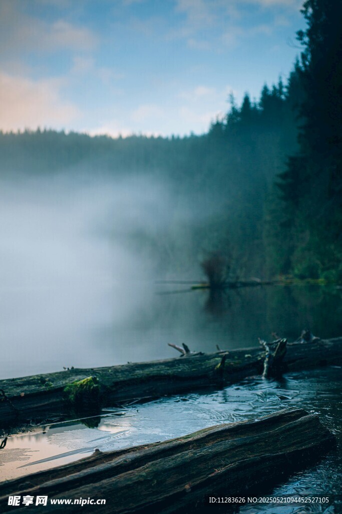 湖畔晨雾中的静谧自然景