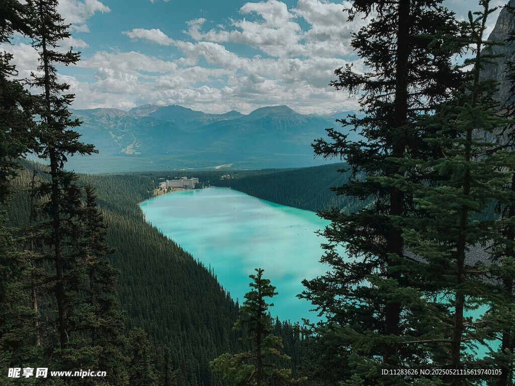湖畔森林美景
