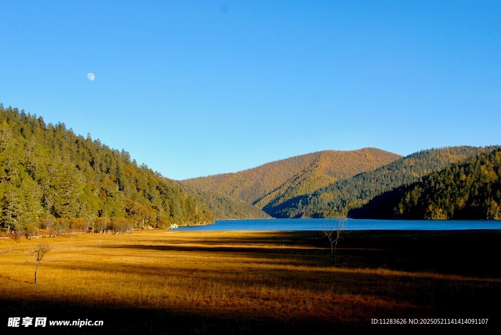 湖畔山林美景