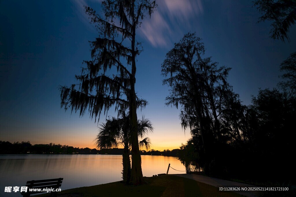 湖畔黄昏树影静谧美景