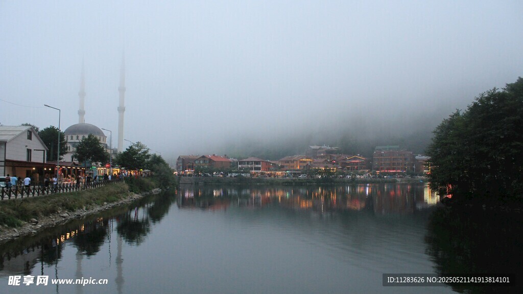 雾中河畔静谧景致