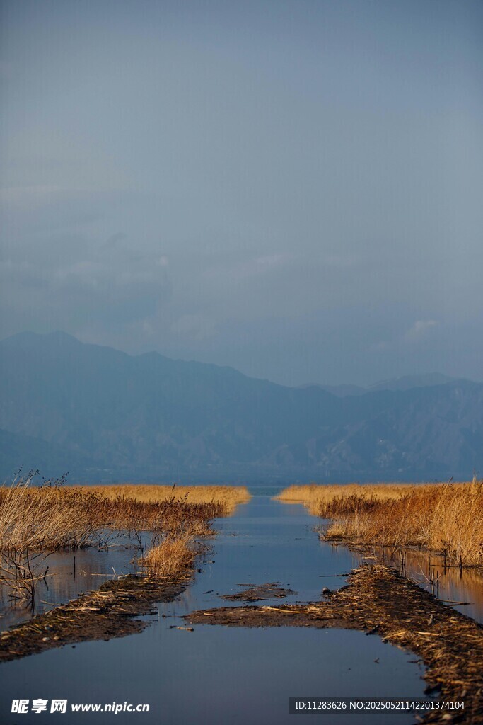 宁静河道边的秋日风光