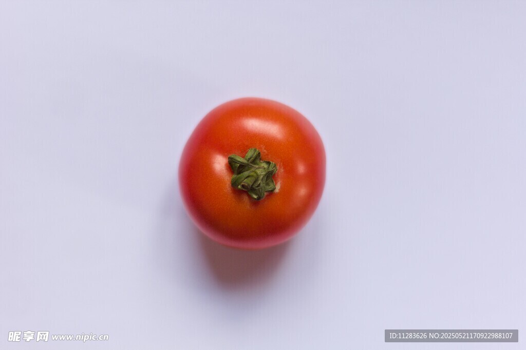鲜红番茄特写