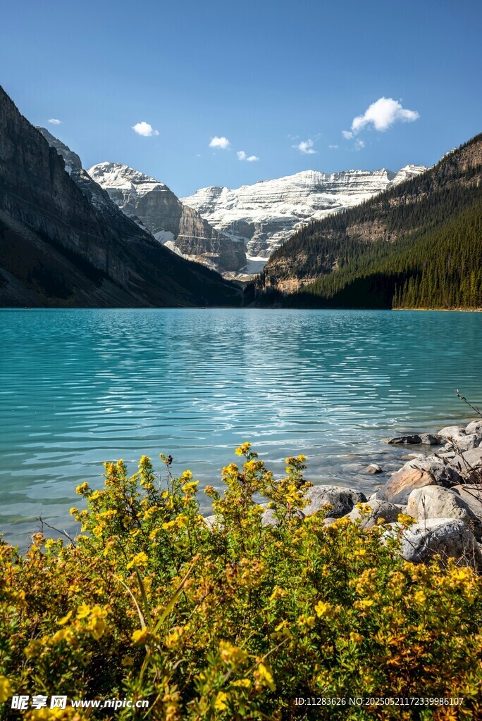 湖畔美景