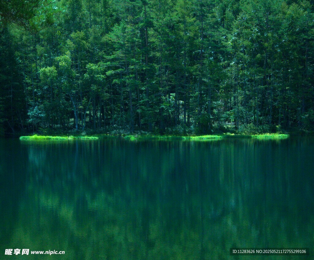 静谧山林中的幽蓝湖水