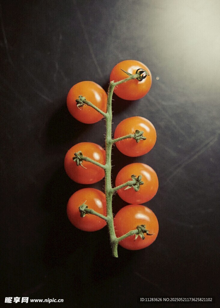 串起的橙色番茄果实