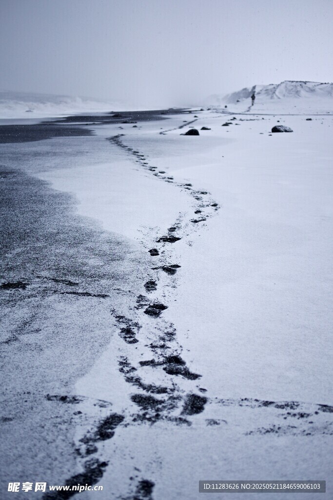 雪地上延伸的串串脚印