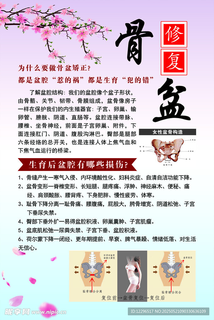 骨盆知识科普宣传页