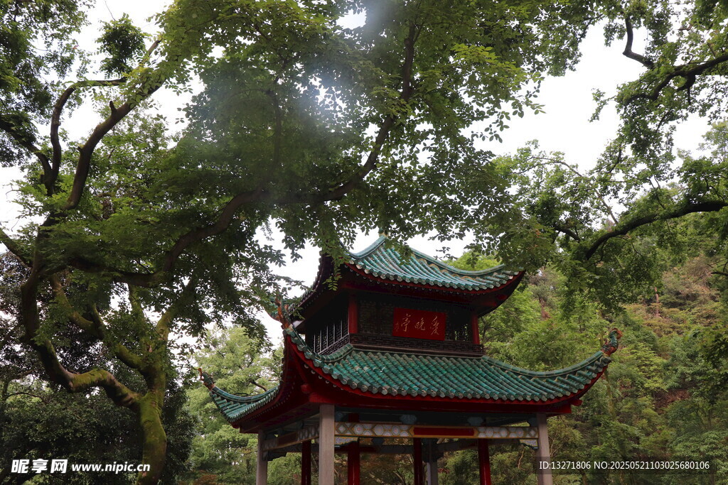  林间古亭