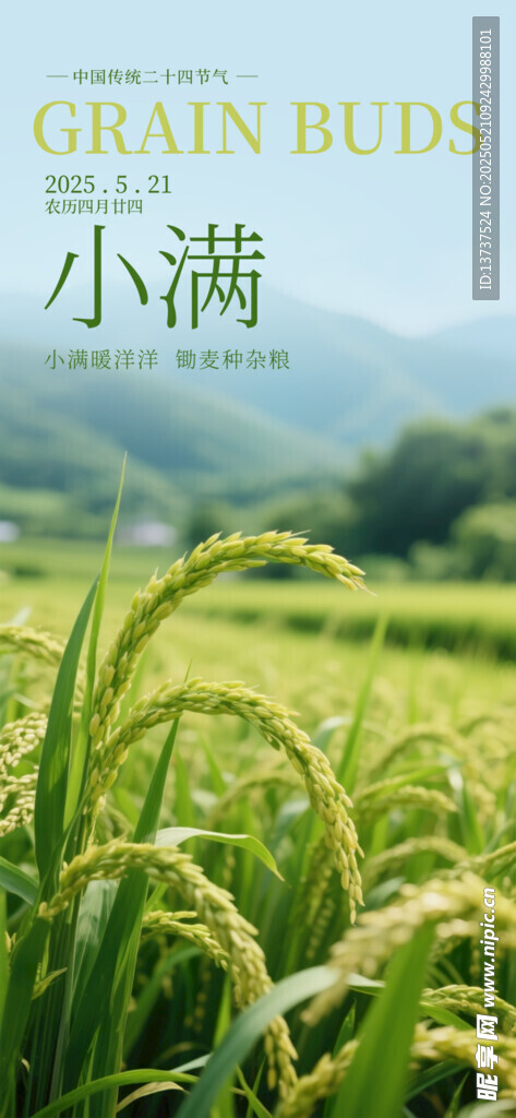 小满