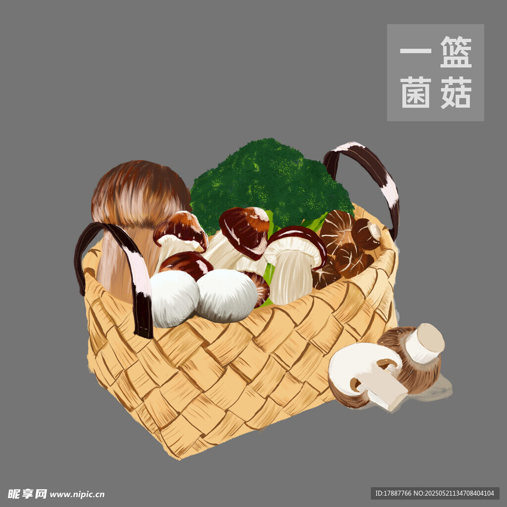 菌菇插画