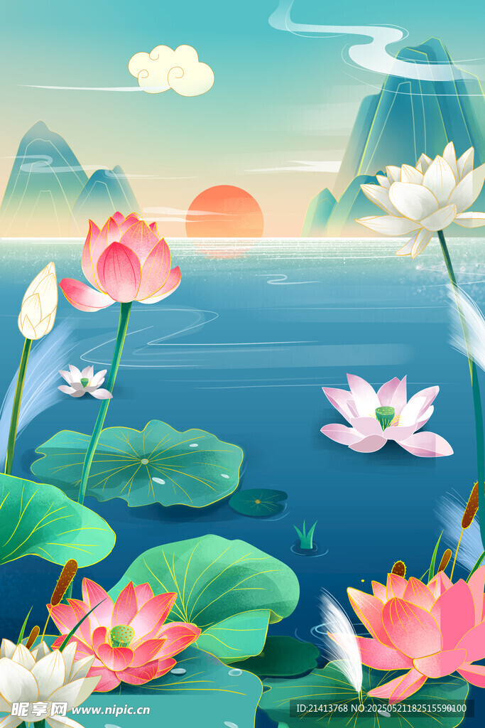 夏日荷塘美景