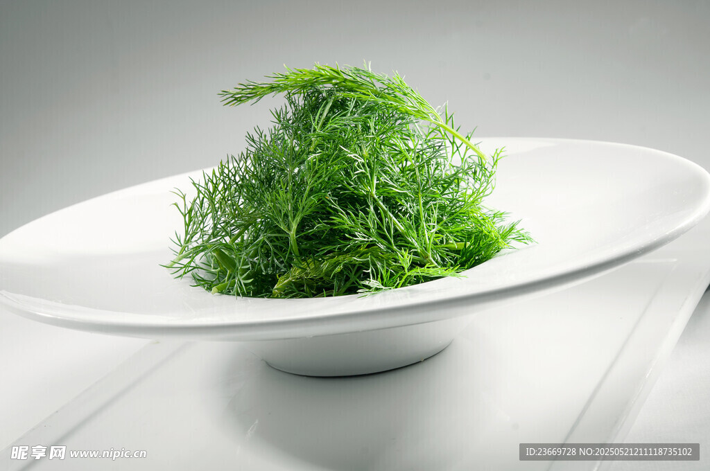 白盘盛嫩绿龙须菜