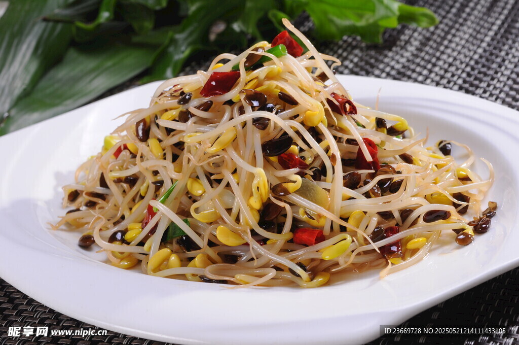 美味凉拌豆芽菜