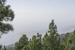 山林远眺风景