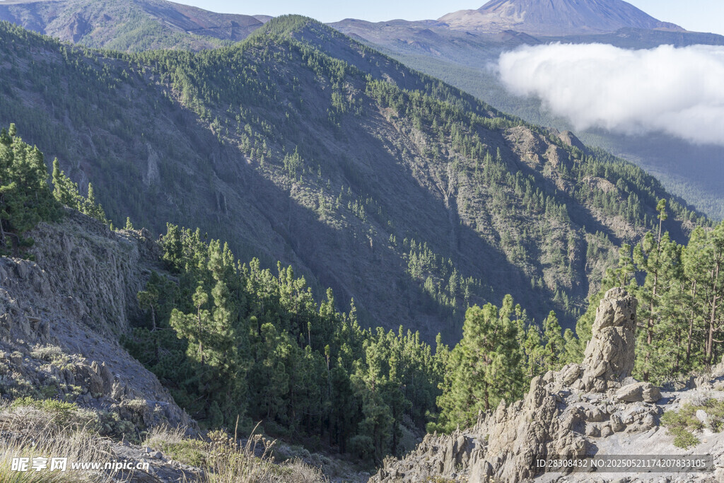 山间葱郁林木与巍峨山峦