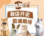 宠物店开业展板