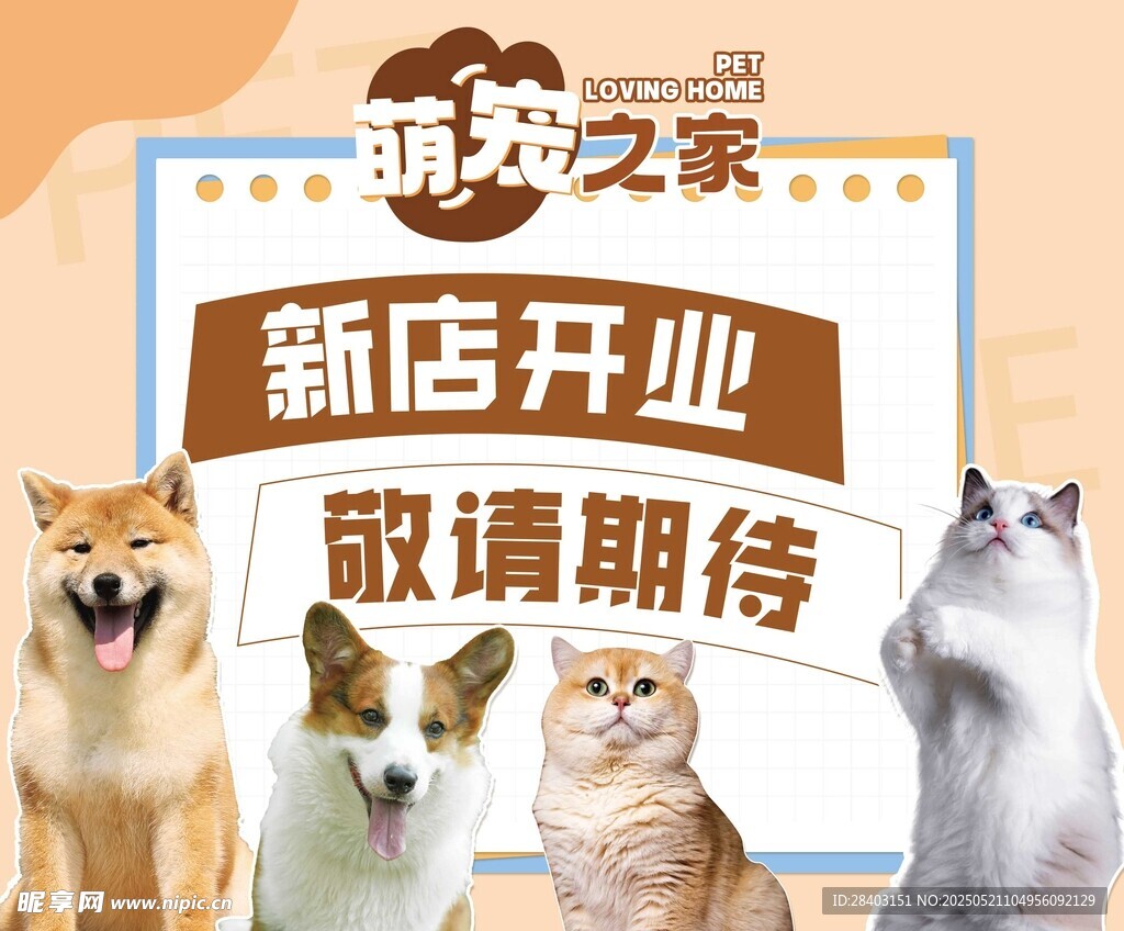 宠物店开业展板