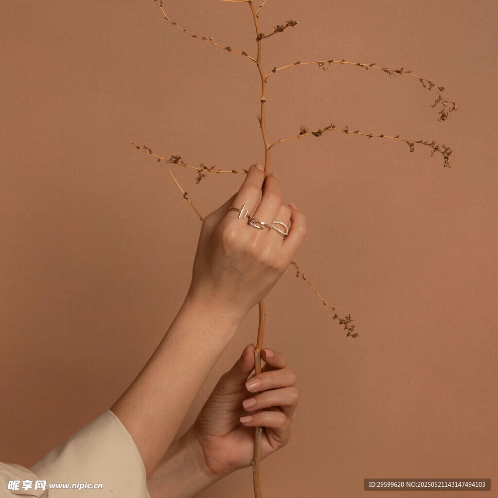 手捧枯枝的静谧瞬间