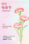感恩母亲节粉色康乃馨