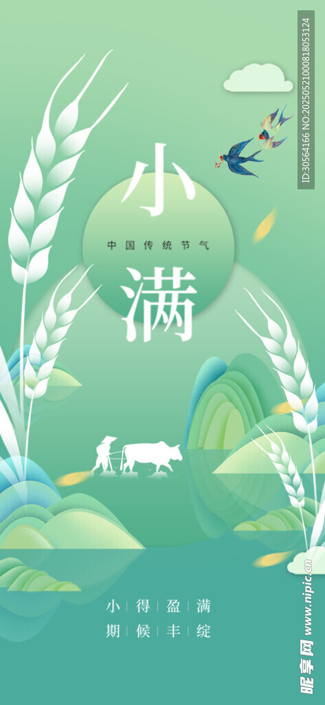小满节气海报
