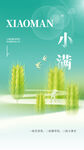 小满节气海报