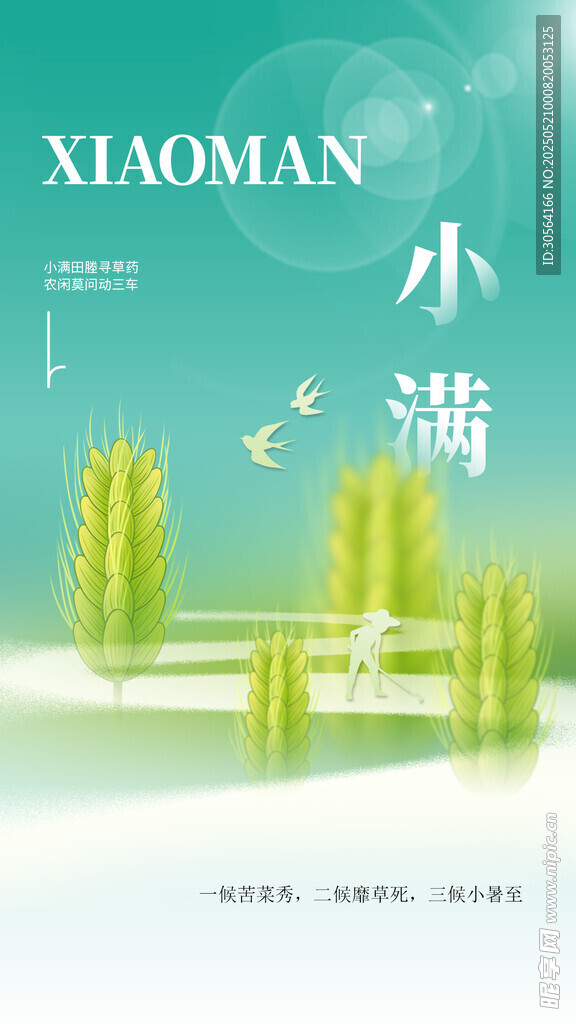 小满节气海报