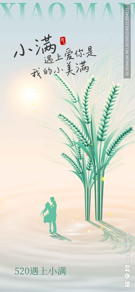 小满节气海报