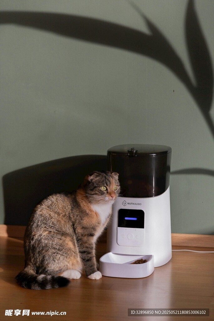 猫咪好奇打量白色电器