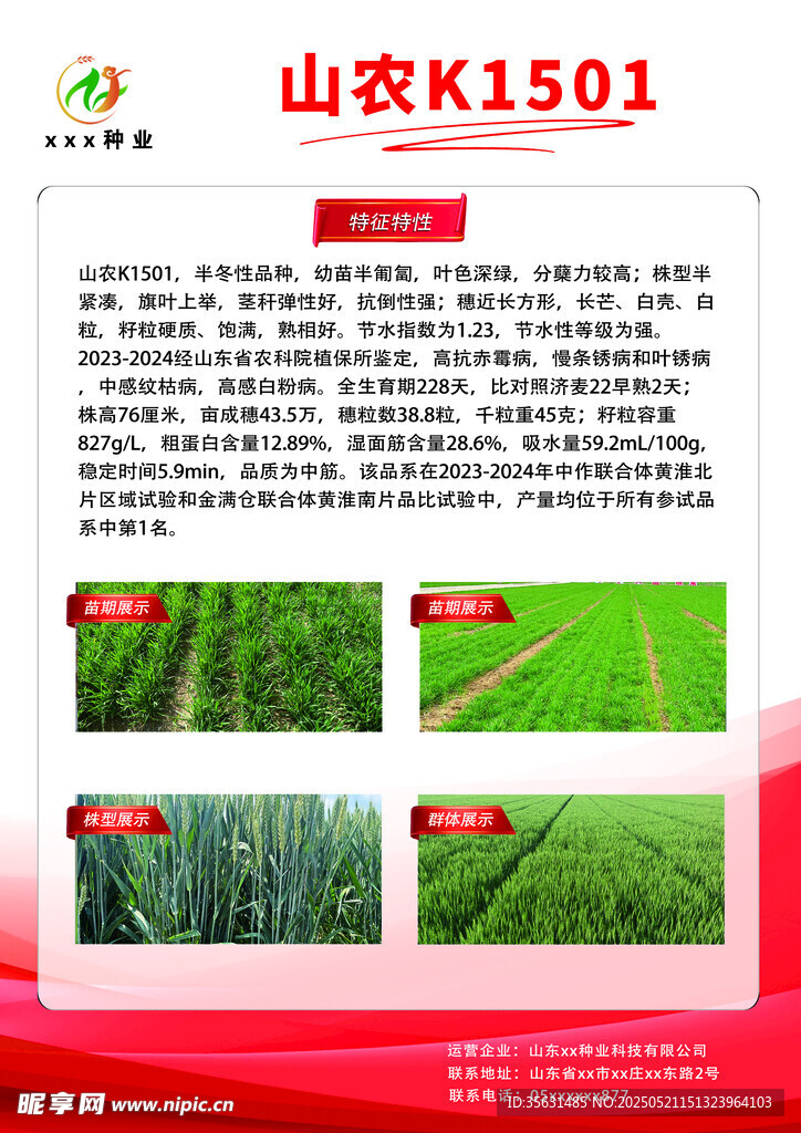 麦种宣传彩页反面