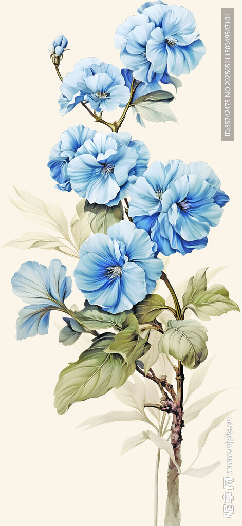 蓝色绣球花插画