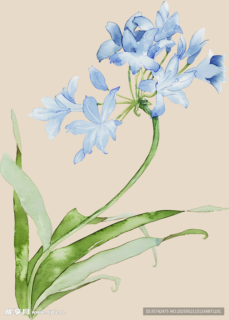 水彩绘蓝色小花印花 