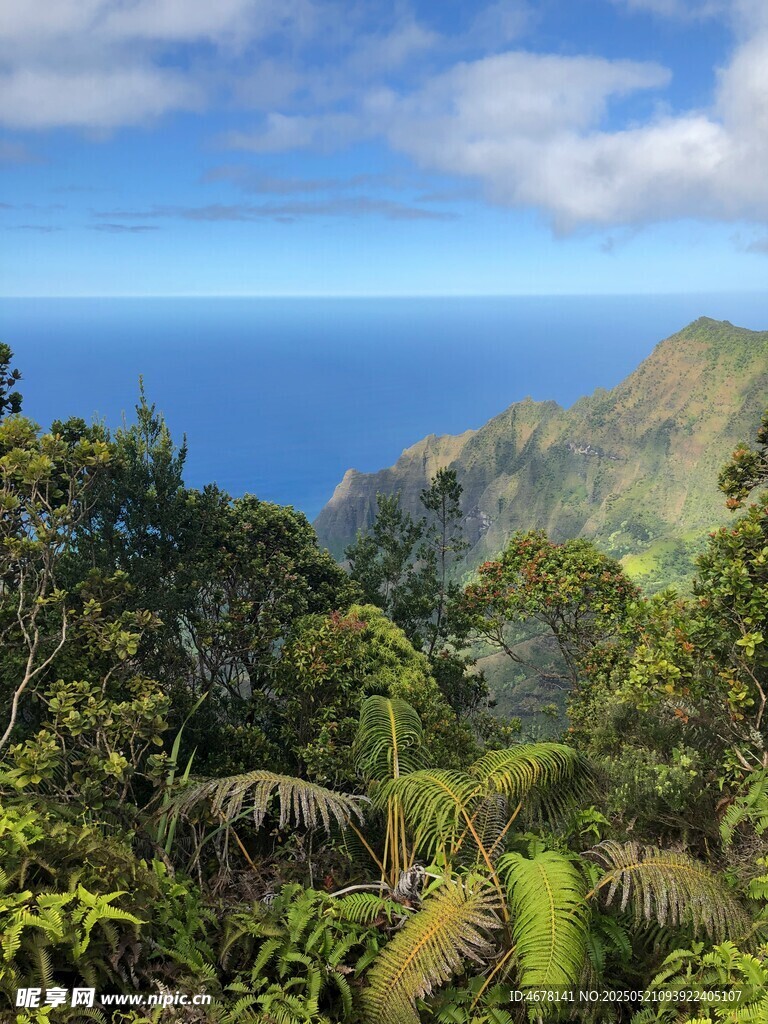 山林间的壮阔海景