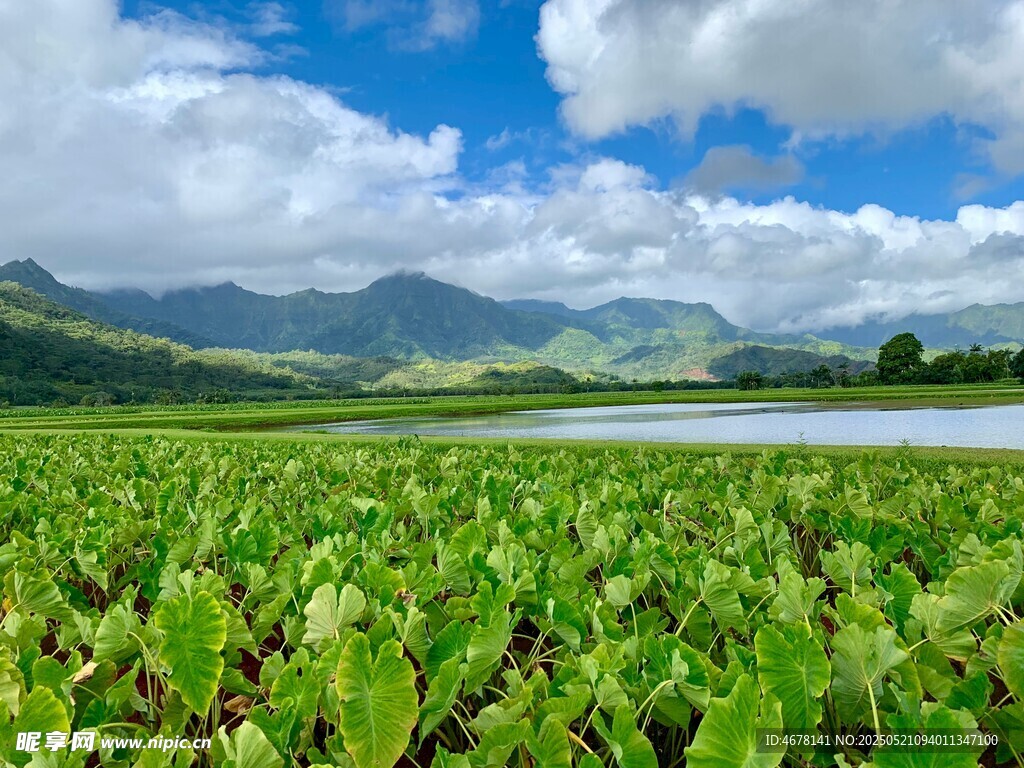 绿野湖畔的自然美景