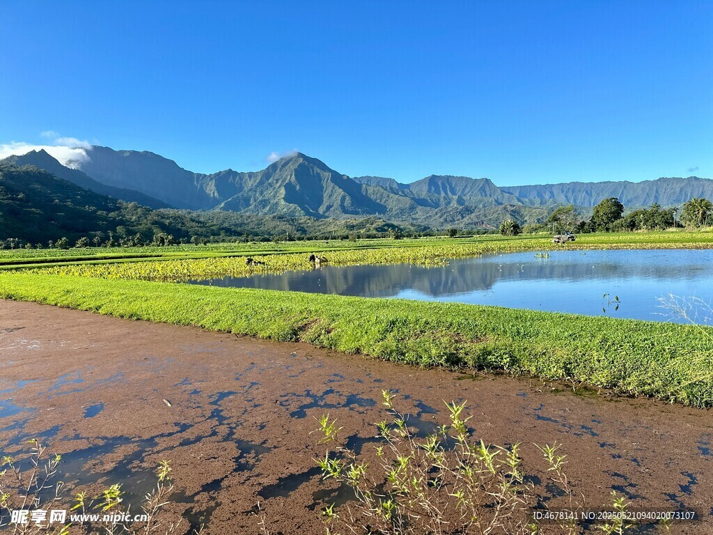 田园水乡风光美景