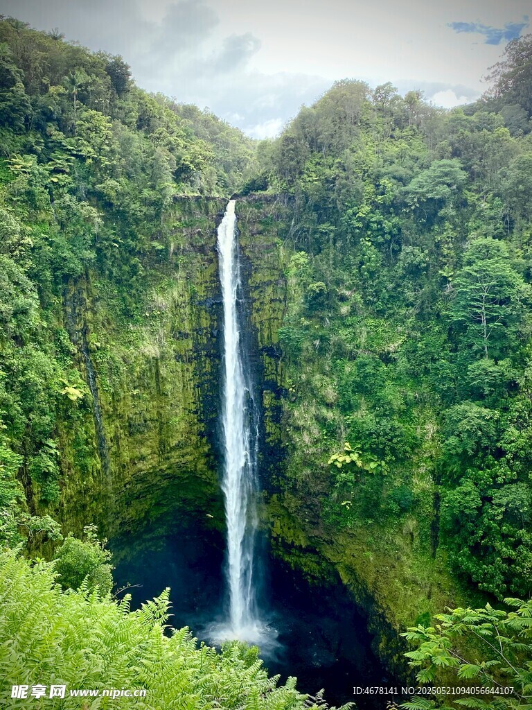 壮观雨林瀑布景观
