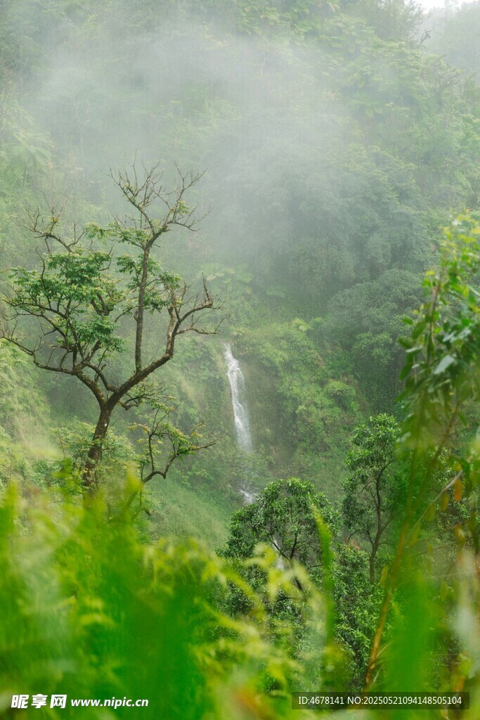 山林间的朦胧瀑布美景