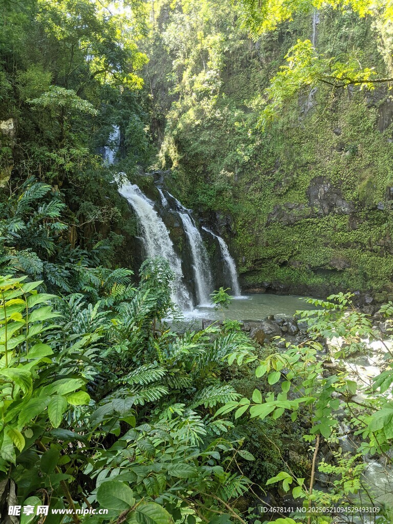 山林间的清新瀑布景观