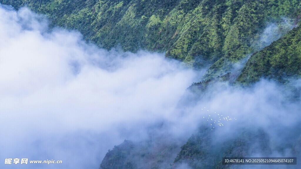 山间云雾缭绕的翠绿景致