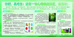 心理社绿色环保宣传页展示