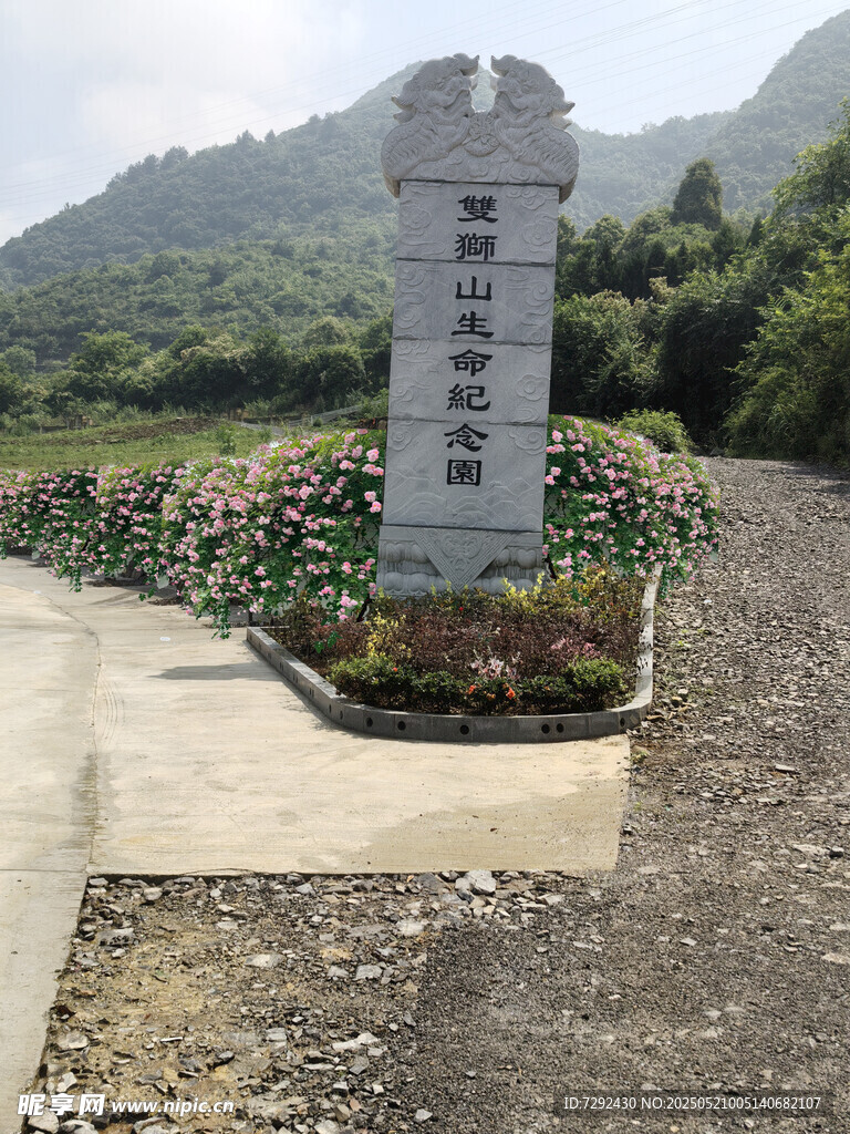 PS园林景观草坪
